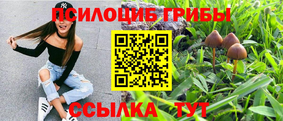 Галлюциногенные грибы Psilocybine cubensis Рузаевка