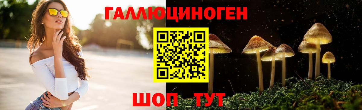 хочу   Вход с VPN  Рузаевка  Псилоцибиновые грибы Psilocybine cubensis 